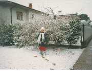 Inverno 1995-96